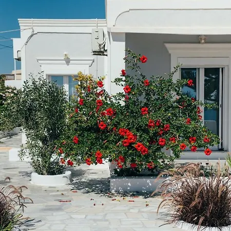 Villa Vigere Luxury